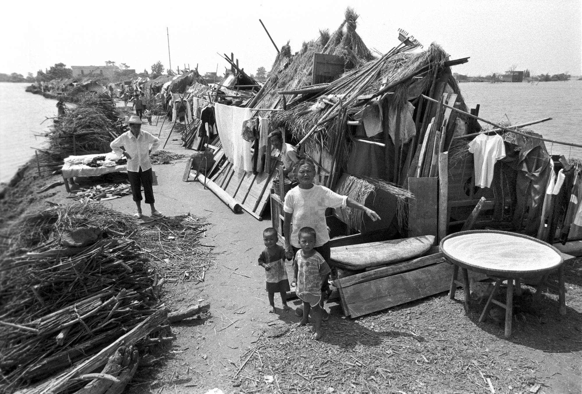 1954年长江特大洪水图片