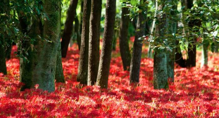 张权成立广东积微集团，推出两新品牌加速去“志高化”-家电圈官网