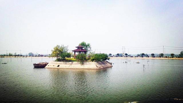 江苏省新沂市草桥镇小渔村特种养殖走向小康之路