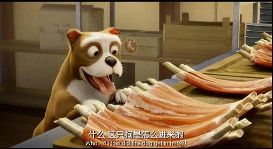 原创流浪狗入伍参战,17次立功受奖,成为美国英雄,受到总统接见!