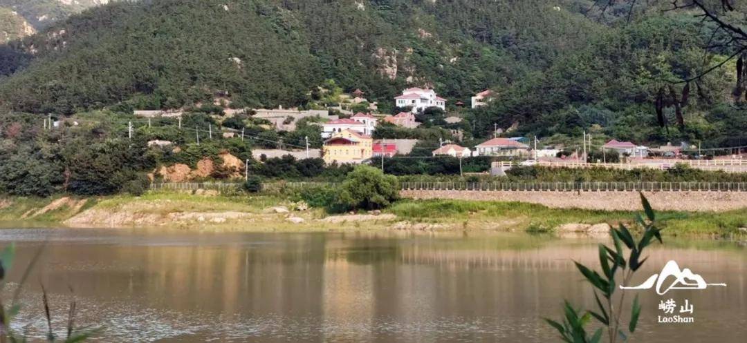 诗意崂山石匠村变画家村这才是诗情画意的生活吧