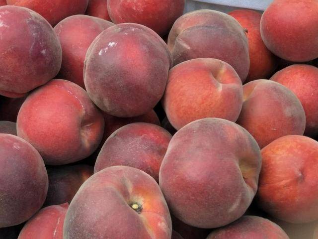 黑御桃果大色艳,汁液多,味浓甜,酸甜适口,有浓郁的水蜜桃风味.