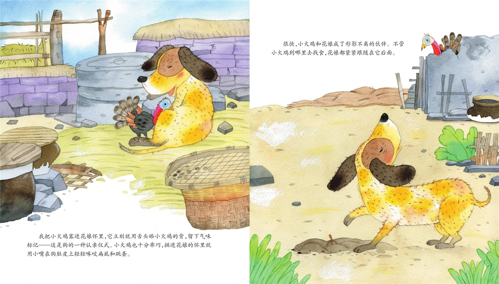 儿童绘本故事推荐《小火鸡和狗妈妈》