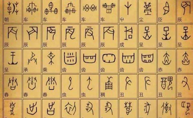 当时官方解读出的甲骨文字也只有一千余个,黄蛉的作文中却已足足出现