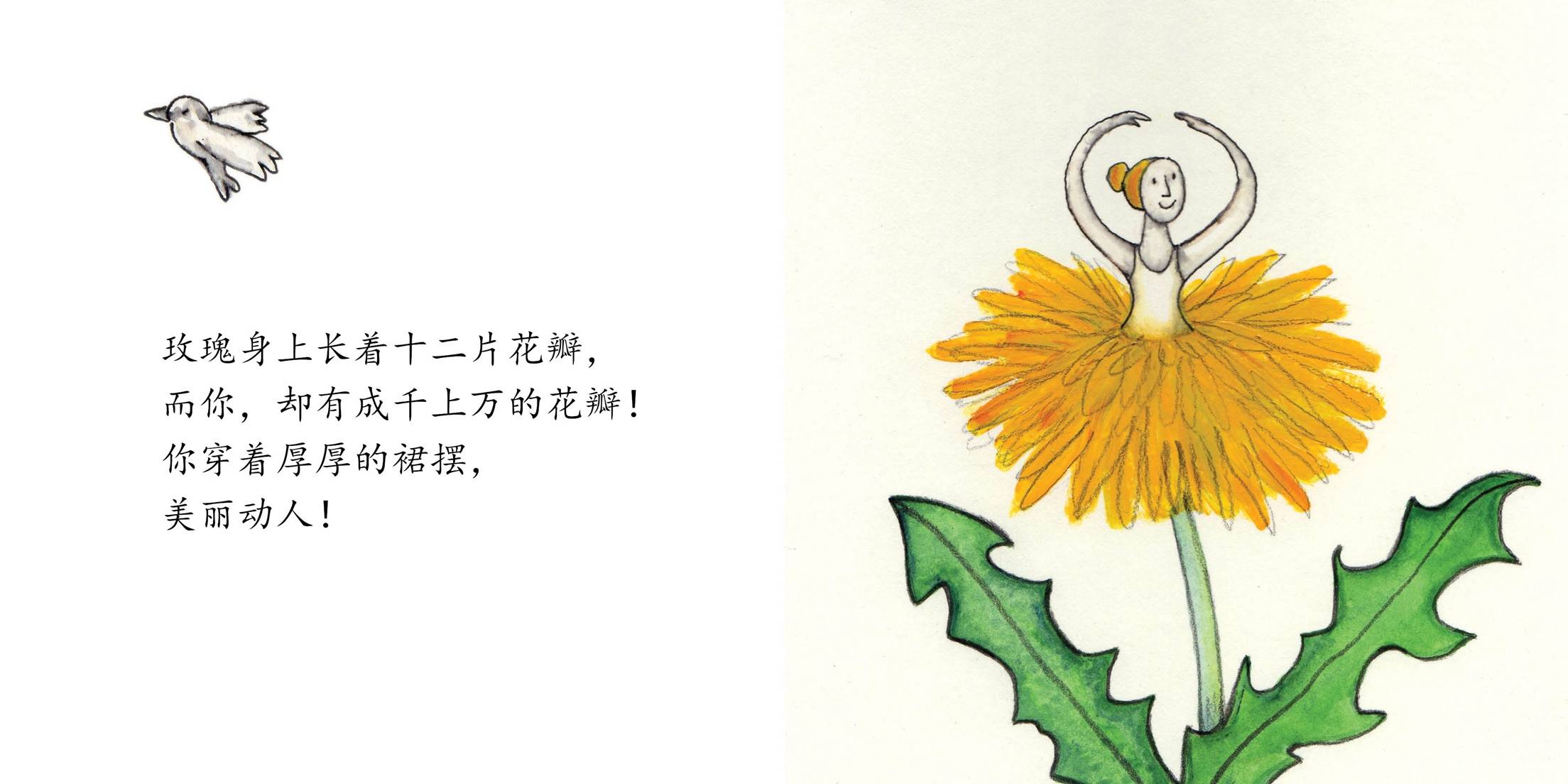 儿童绘本故事推荐我的好朋友蒲公英