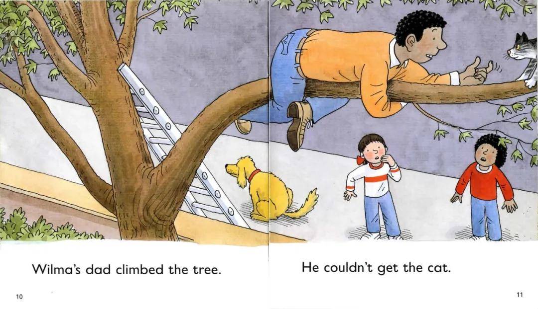 伴读| 牛津树【3-10】a cat in the tree