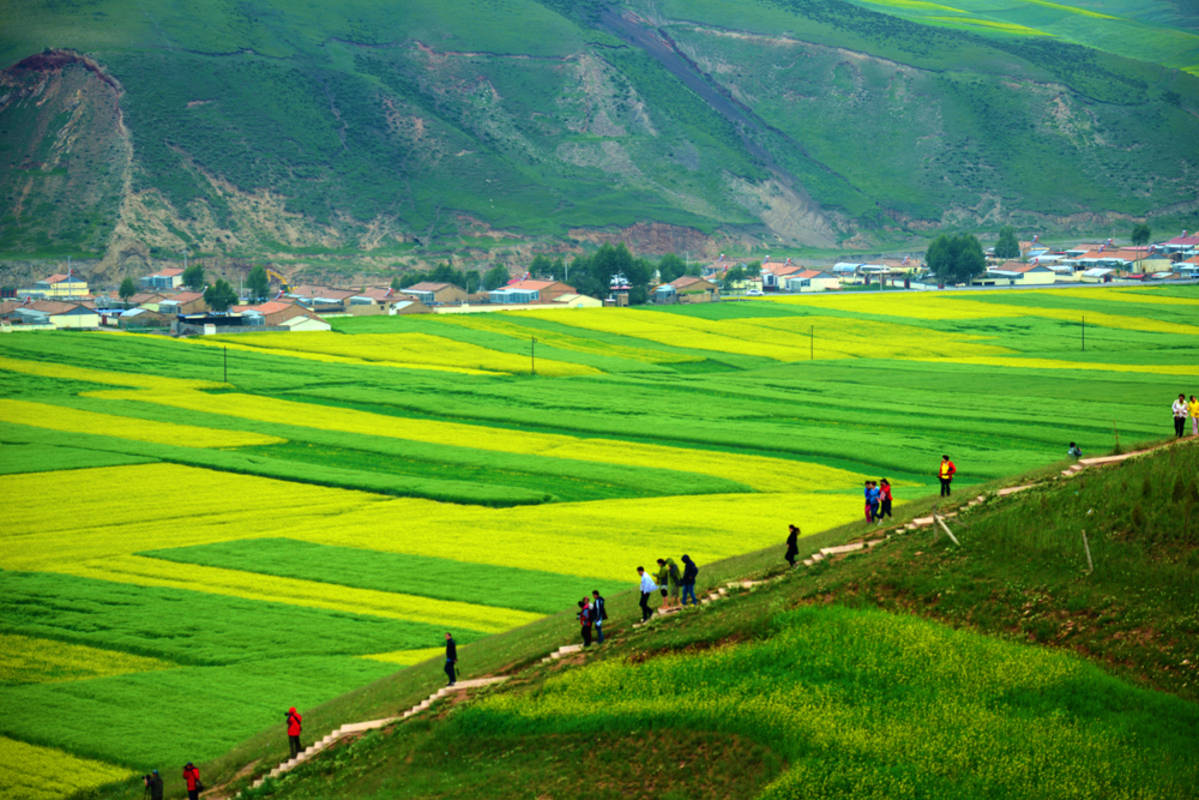 原创青海这个县城,给14亿中国人补了一个错过的春天,太适合学生党了