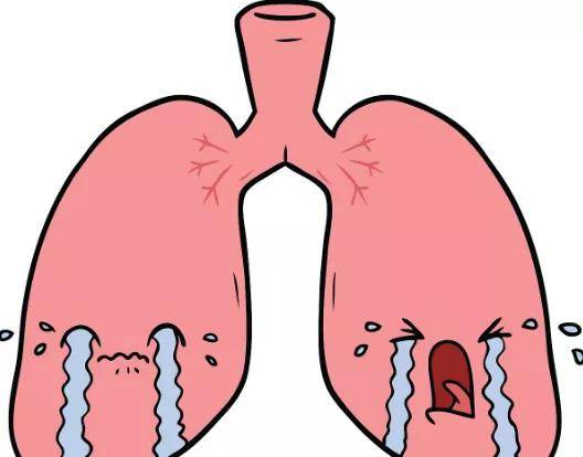 肺纤维化卡通图图片