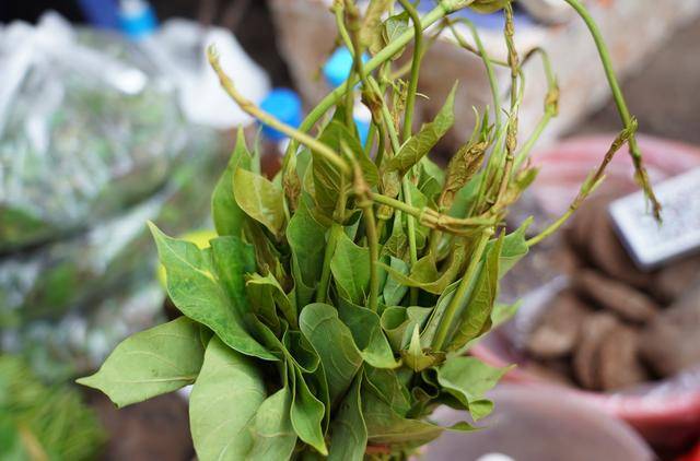 原創建水菜市場野菜野果專業戶賣的雖非山珍但絕對都是好東西