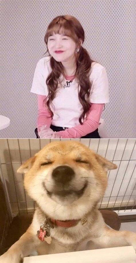 看到这幅图片的时候,我整个人是愣住的