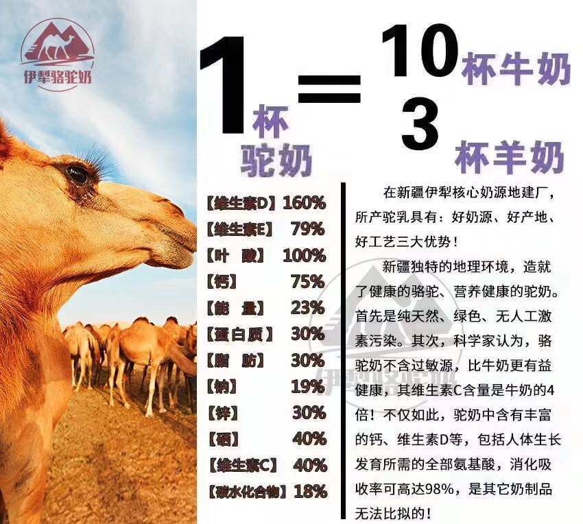 驼奶到底是不是骗局