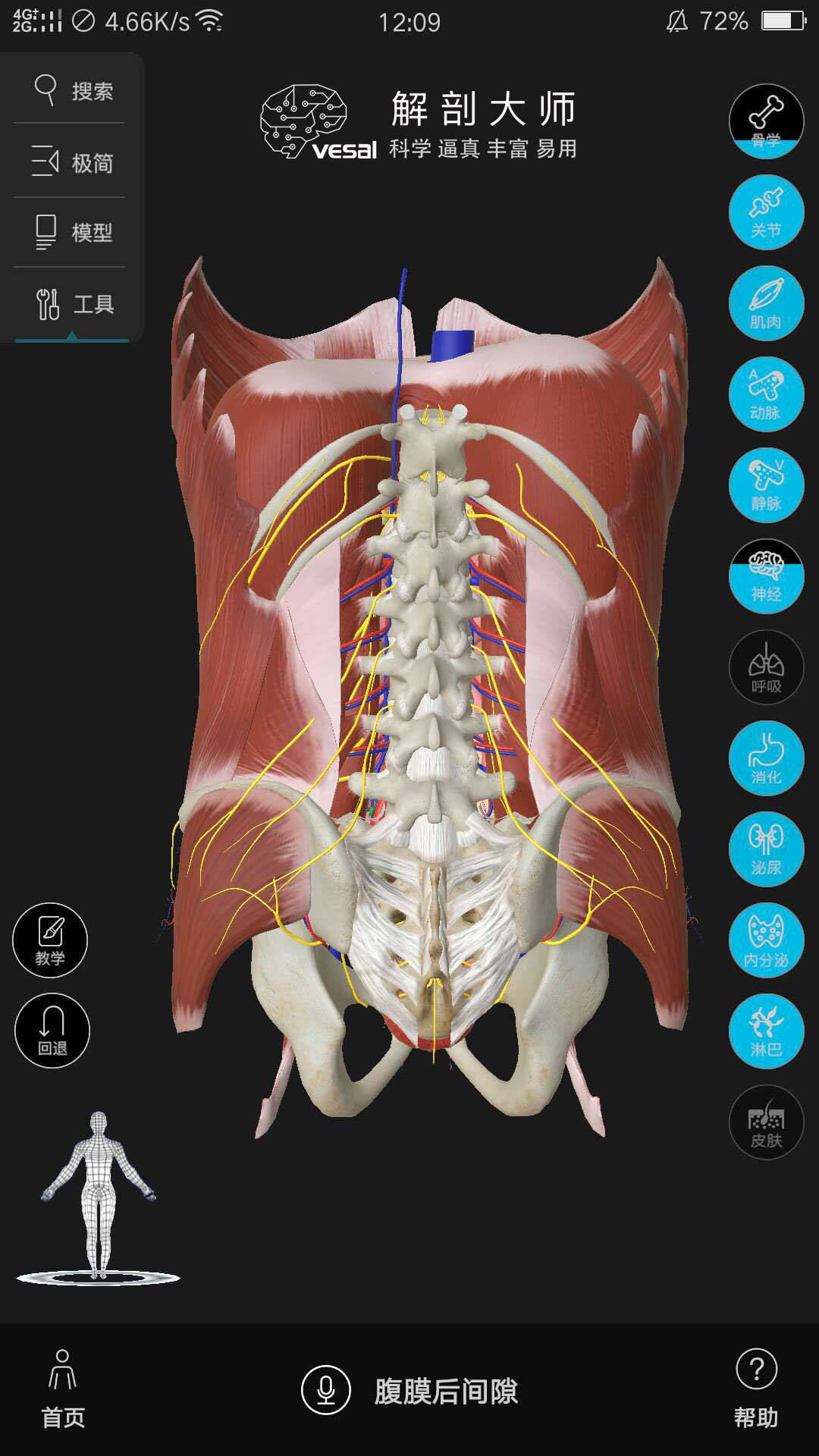 3d人体解剖图高清支持iosandroidpadwinmac