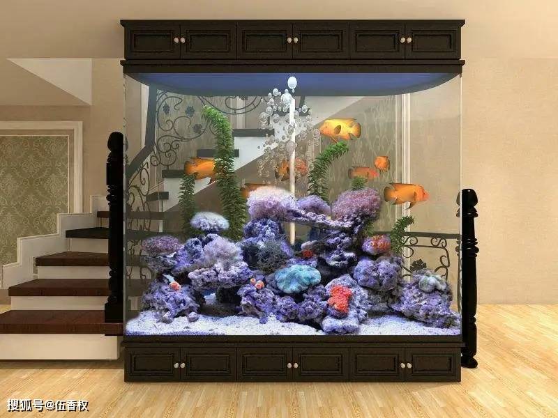 鱼缸摆放的风水禁忌,做对了催旺财运,家庭和谐