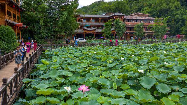 集國家級風景名勝區,國家4a級旅遊區,國家溼地公園為一體的普者黑