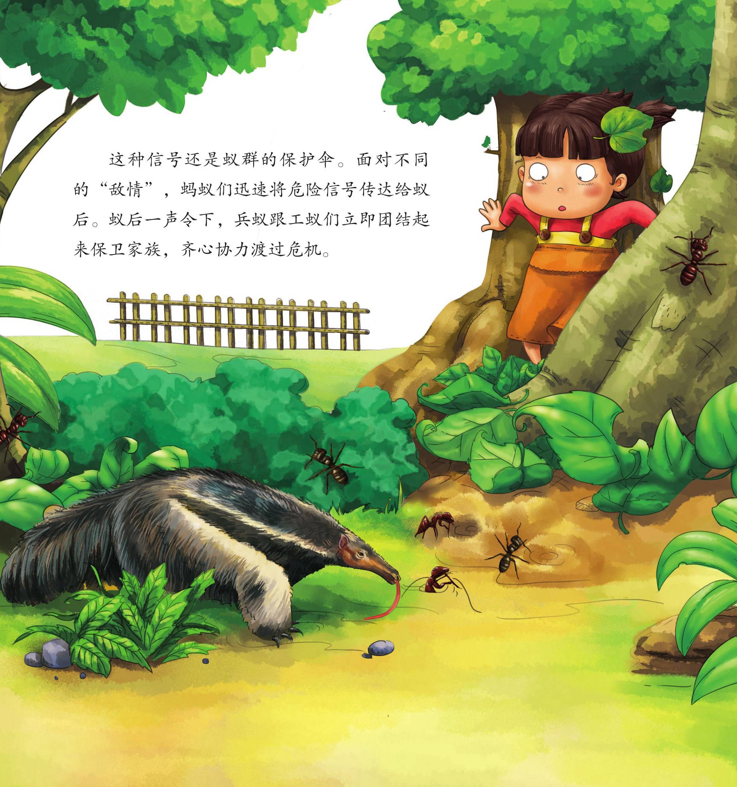 儿童绘本故事推荐《昆虫世界乐开怀上》