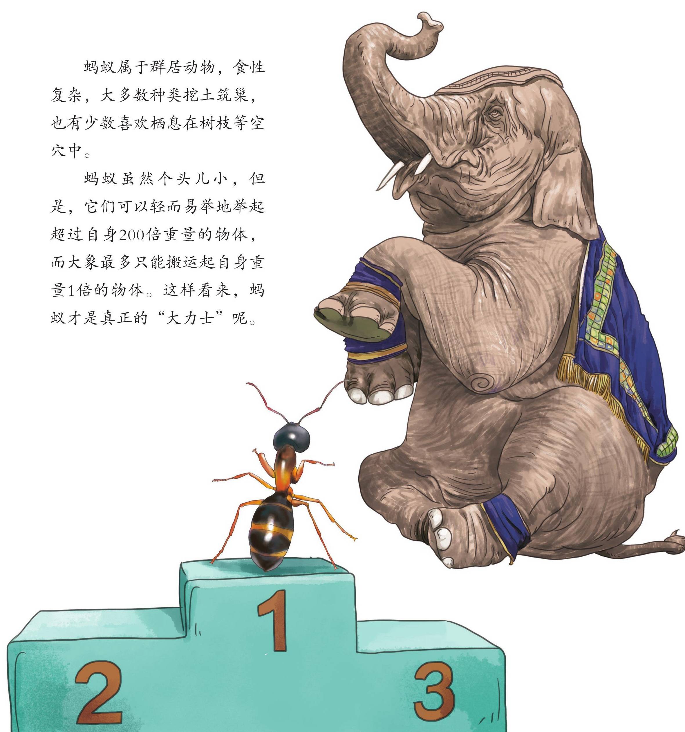 儿童绘本故事推荐《昆虫世界乐开怀上》