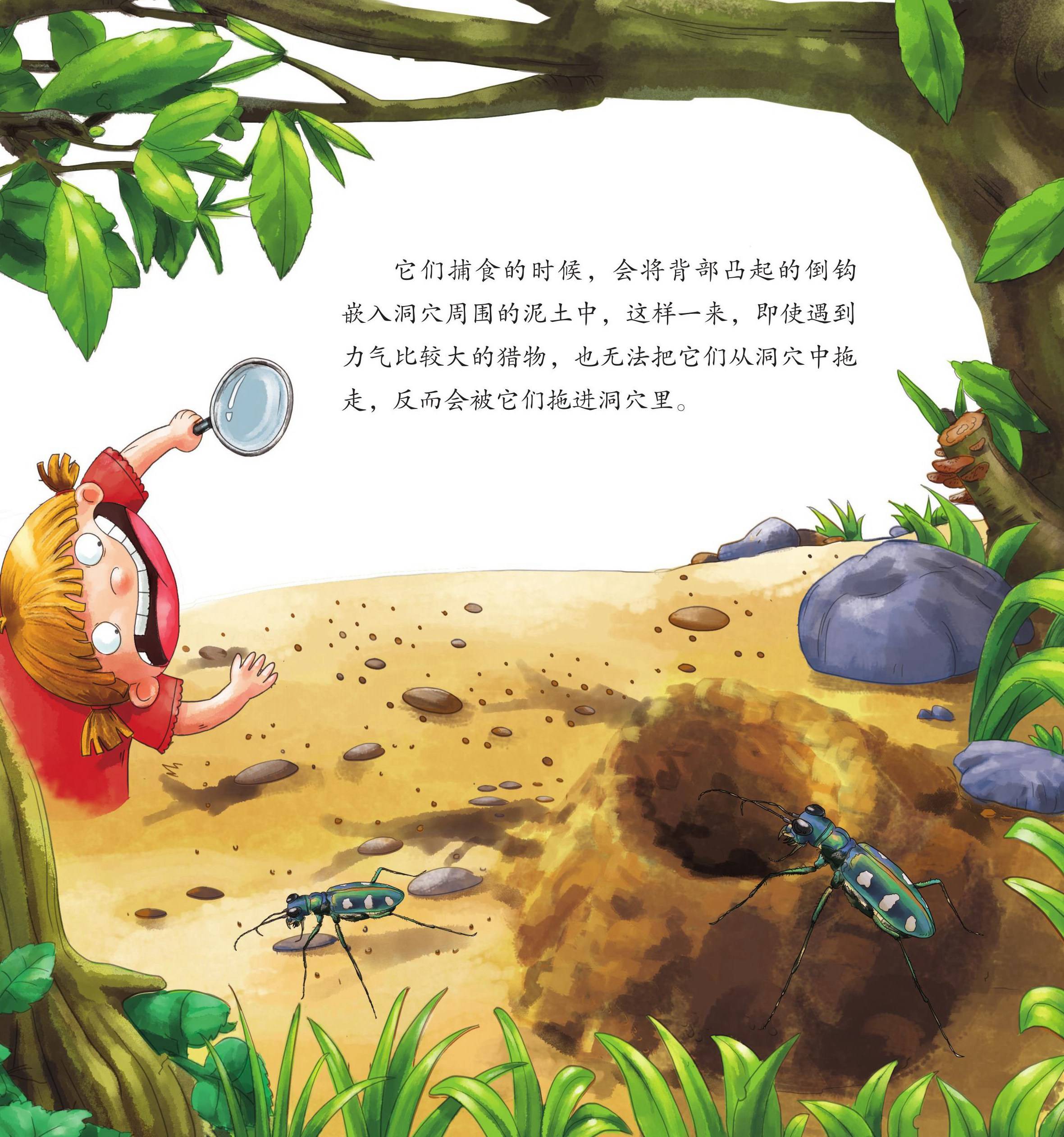 儿童绘本故事推荐《昆虫世界乐开怀中》