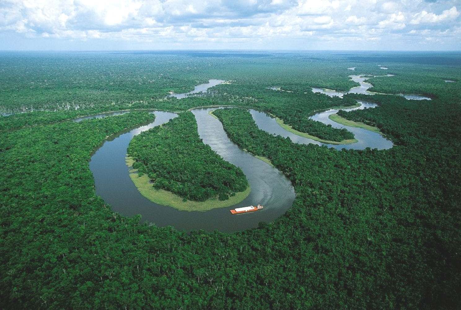 amazon river图片