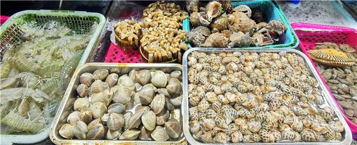 潭门南海之门千年渔港