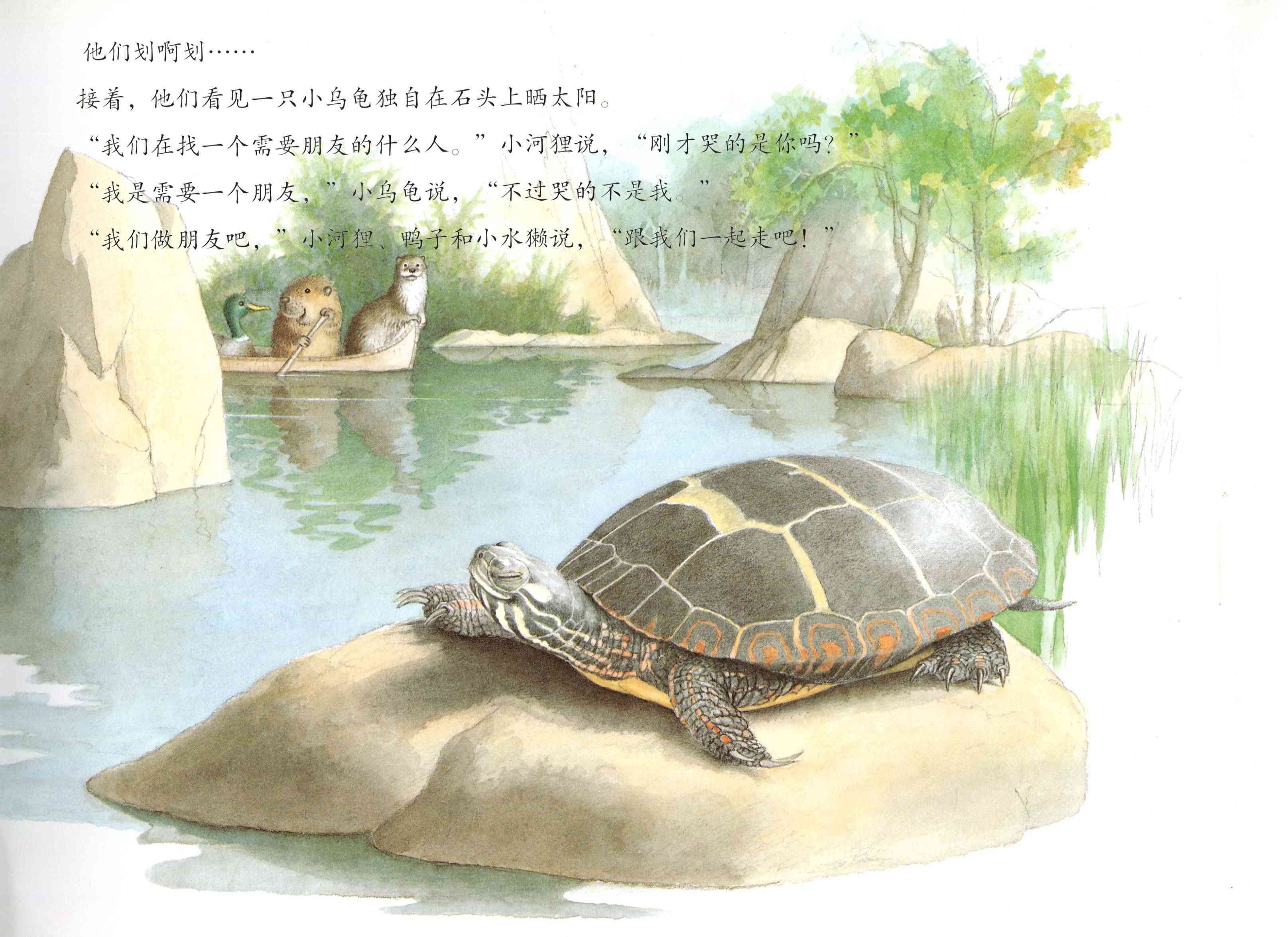 儿童绘本故事推荐《小河狸和回声》