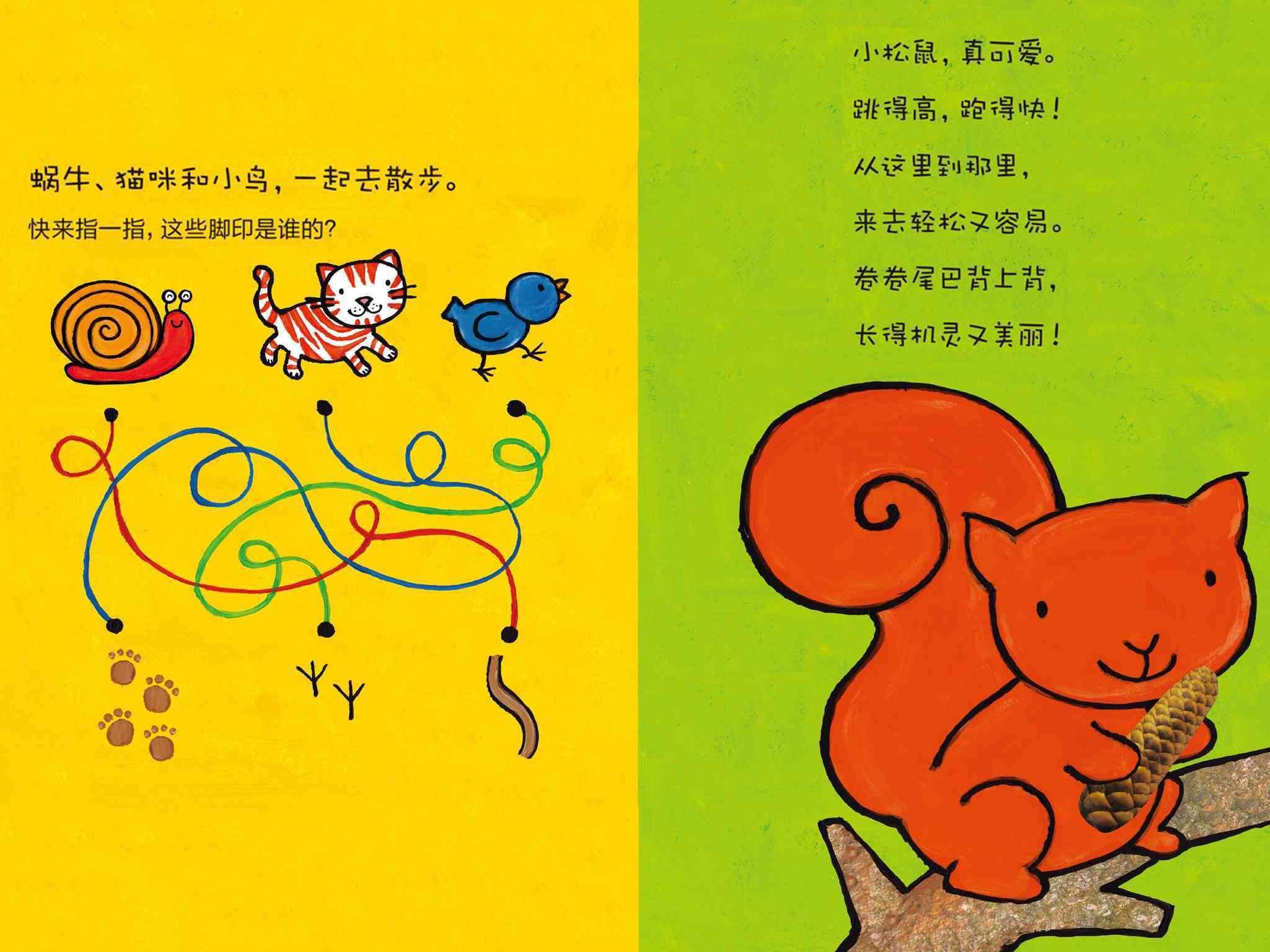 兒童繪本故事推薦完美小孩養成書動物寶典