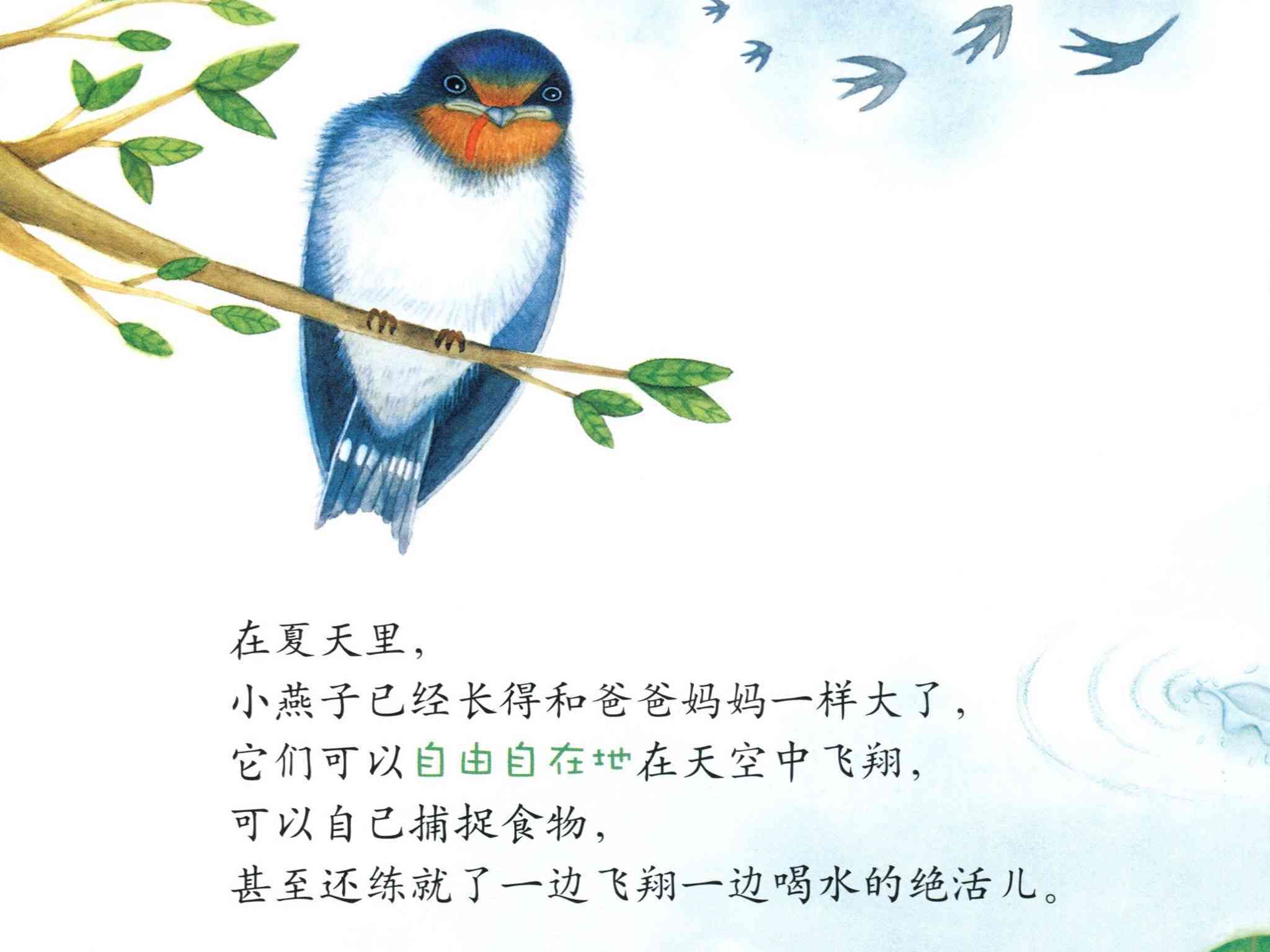 儿童绘本故事推荐《衔来春天的燕子》