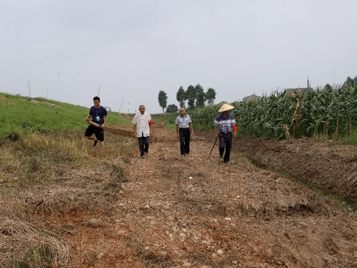 华容县插旗镇:坚守长堤 凡人群像