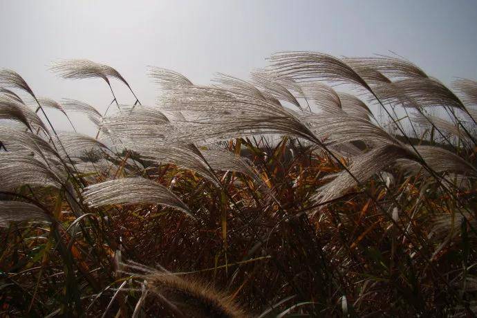 原创寒江孤篷《秋诗十首(新韵)》