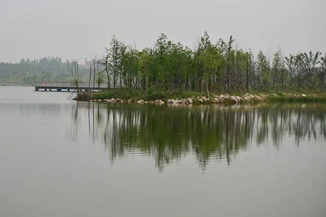上蔡县森林公园初现芳容