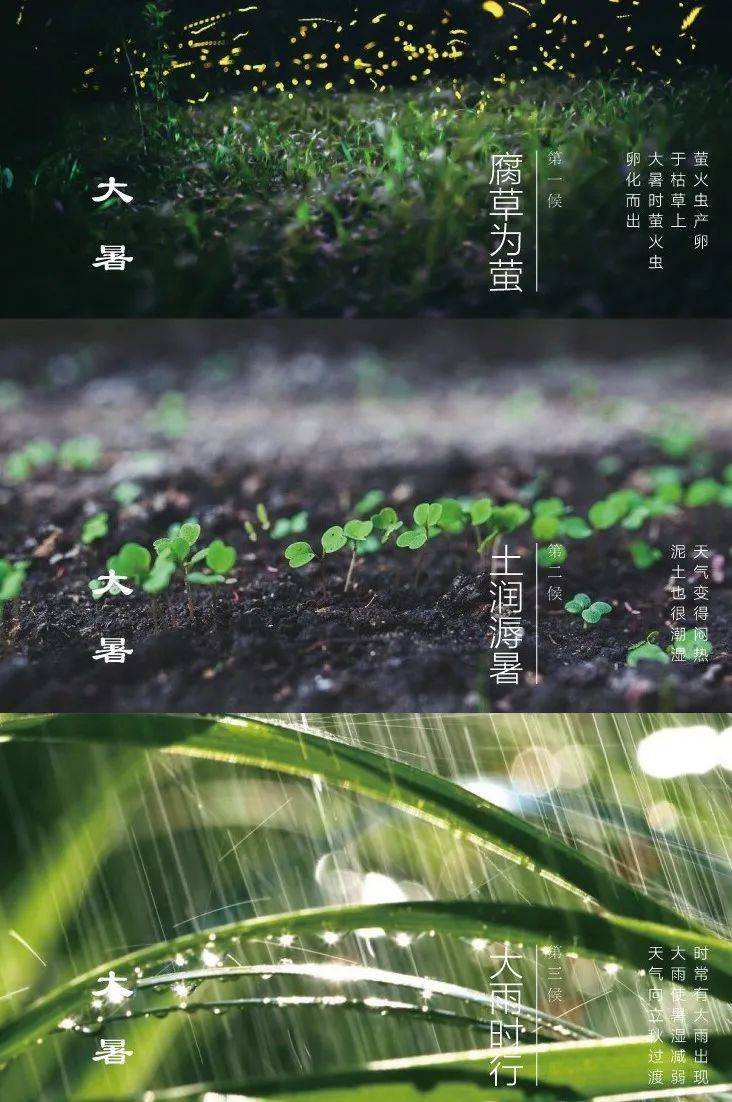 今日大暑 一候腐草为萤 二候土润溽暑 三候大雨时行 大暑,是我国二十