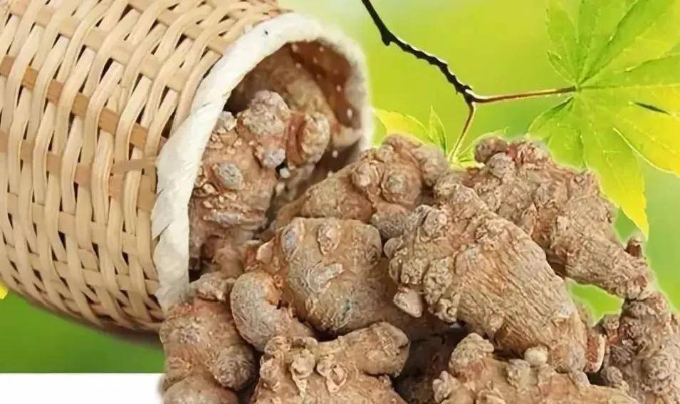 三枝七叶三七降三高天然健康不伤身