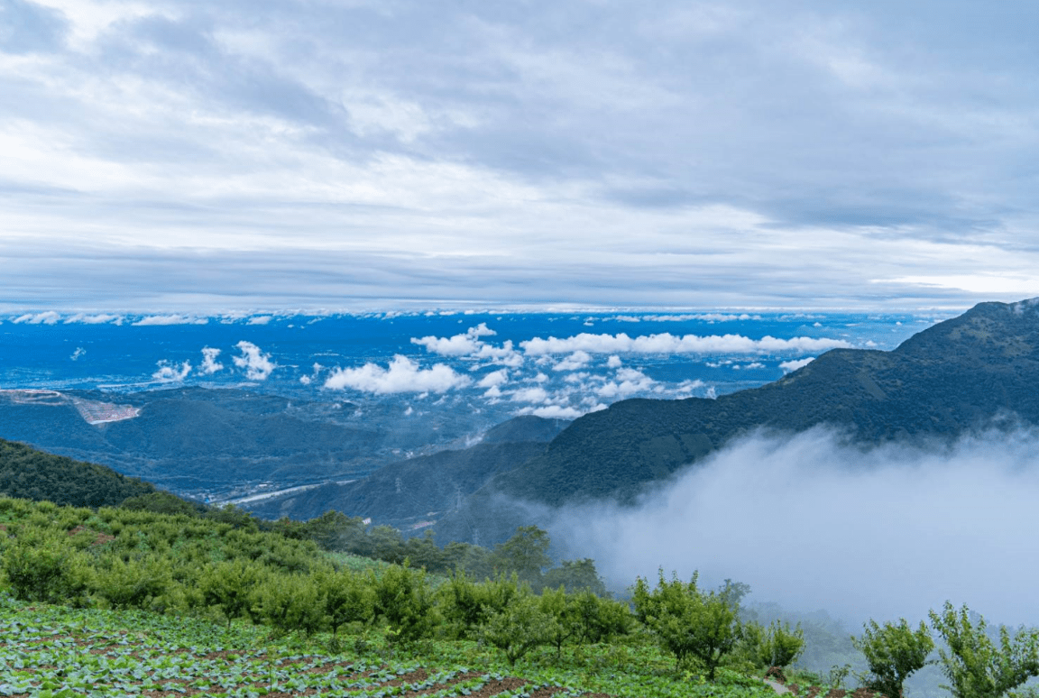 綿陽九皇山景區開啟雲農場主模式在家就能雲種地