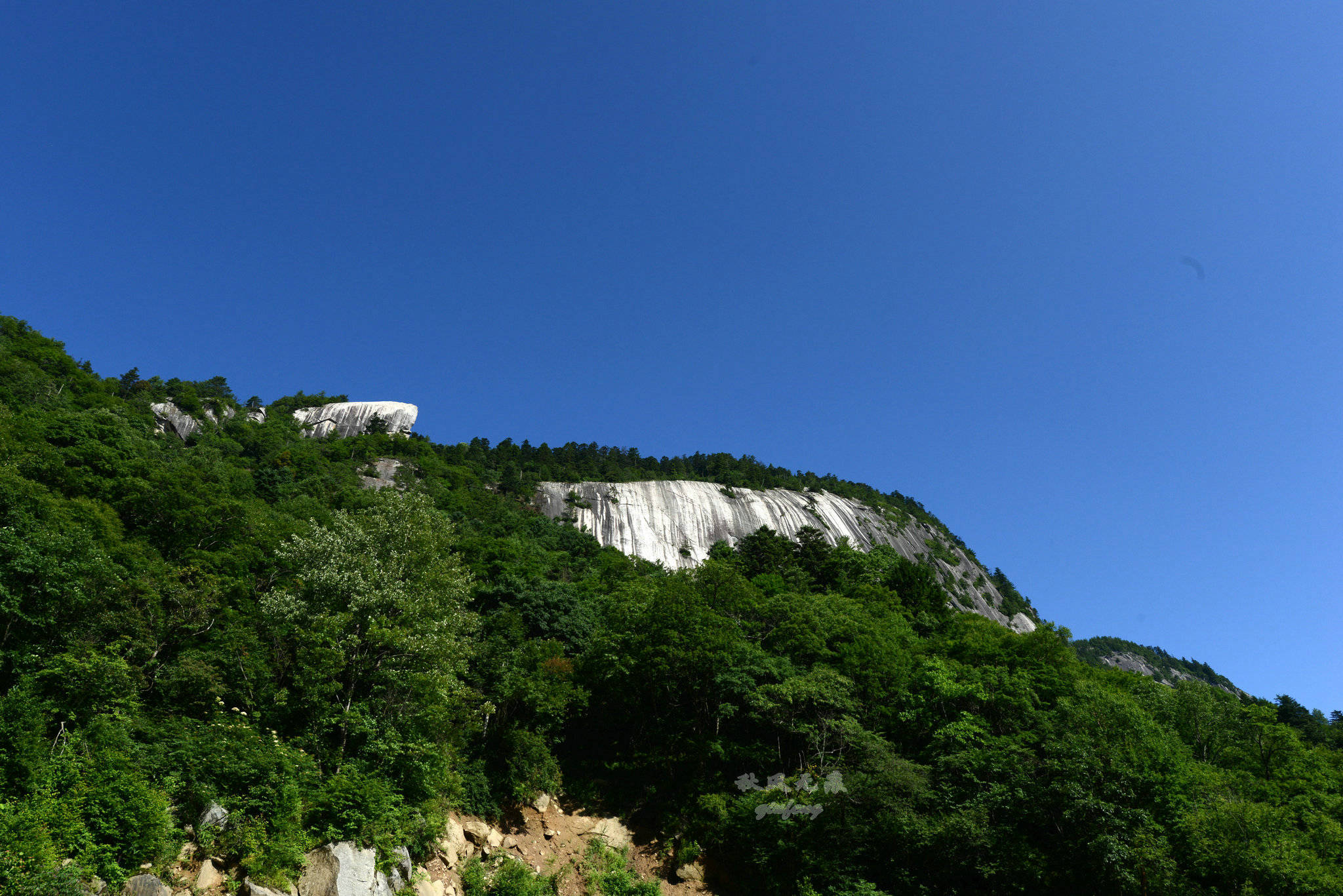 原创碧水四海坪晴空双头马木王夏日里静享秦岭美妙山水