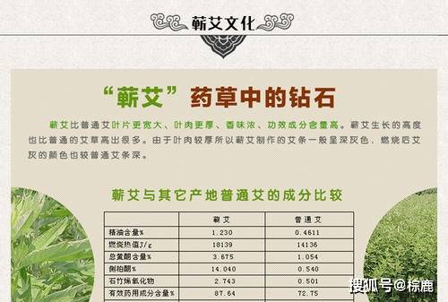 很多人都知道蕲艾的奇效,但是又不知道该怎么做能将蕲艾的功效发挥到