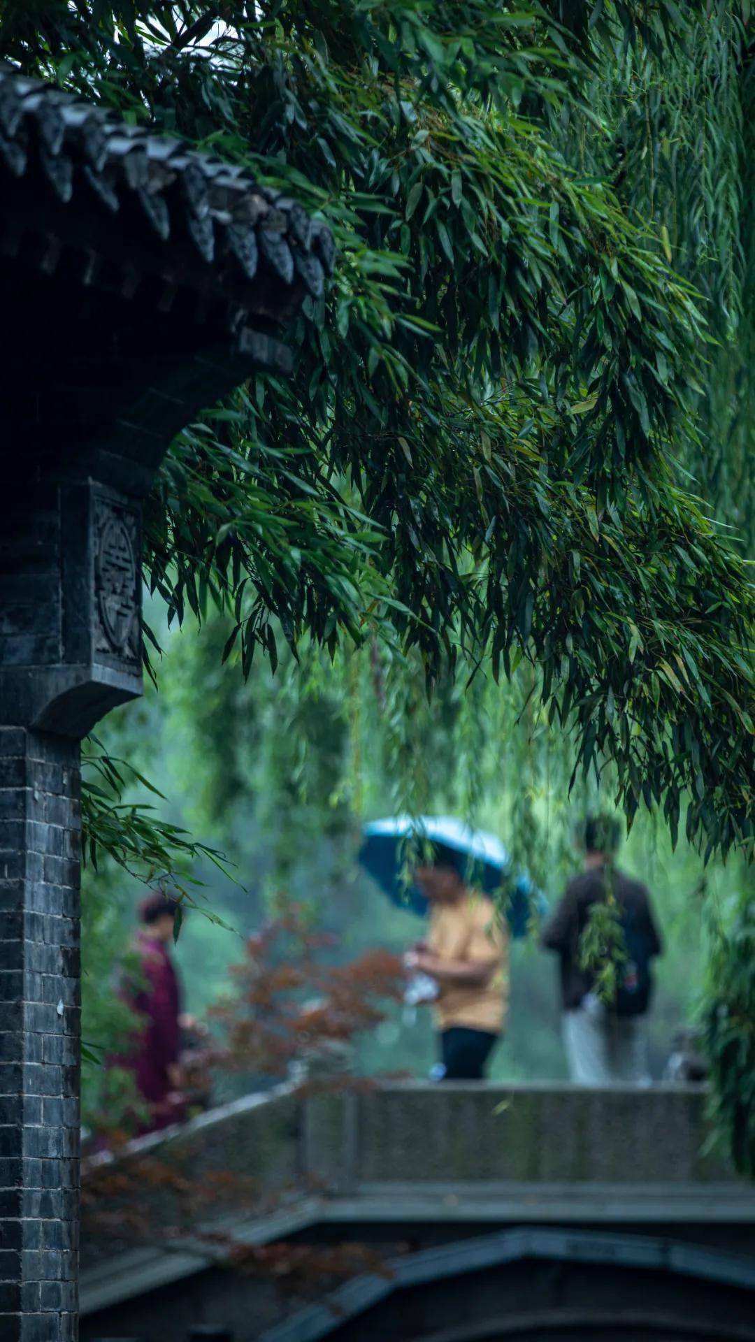 台儿庄古城专属小时光丨无雨时盼雨, 有雨时念人