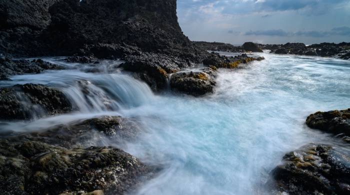 2020冰箱业上半年报：逆势破冰，海尔美的容声博西再分化-家电圈官网