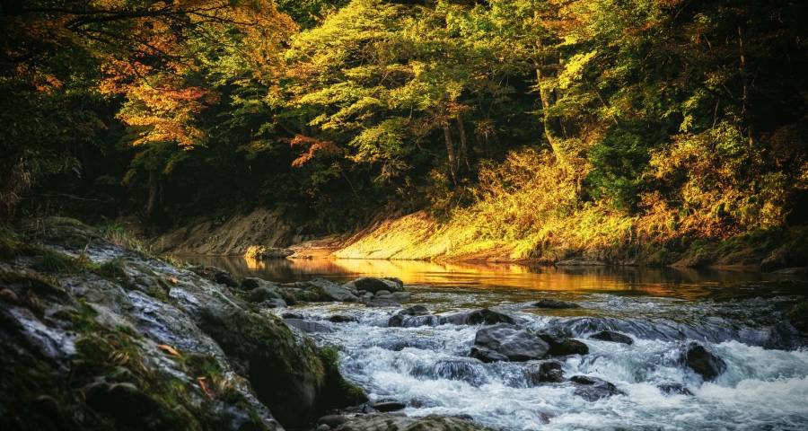 面对风云变幻的行业困局，家电企业只能在一线市场找到答案！-家电圈官网