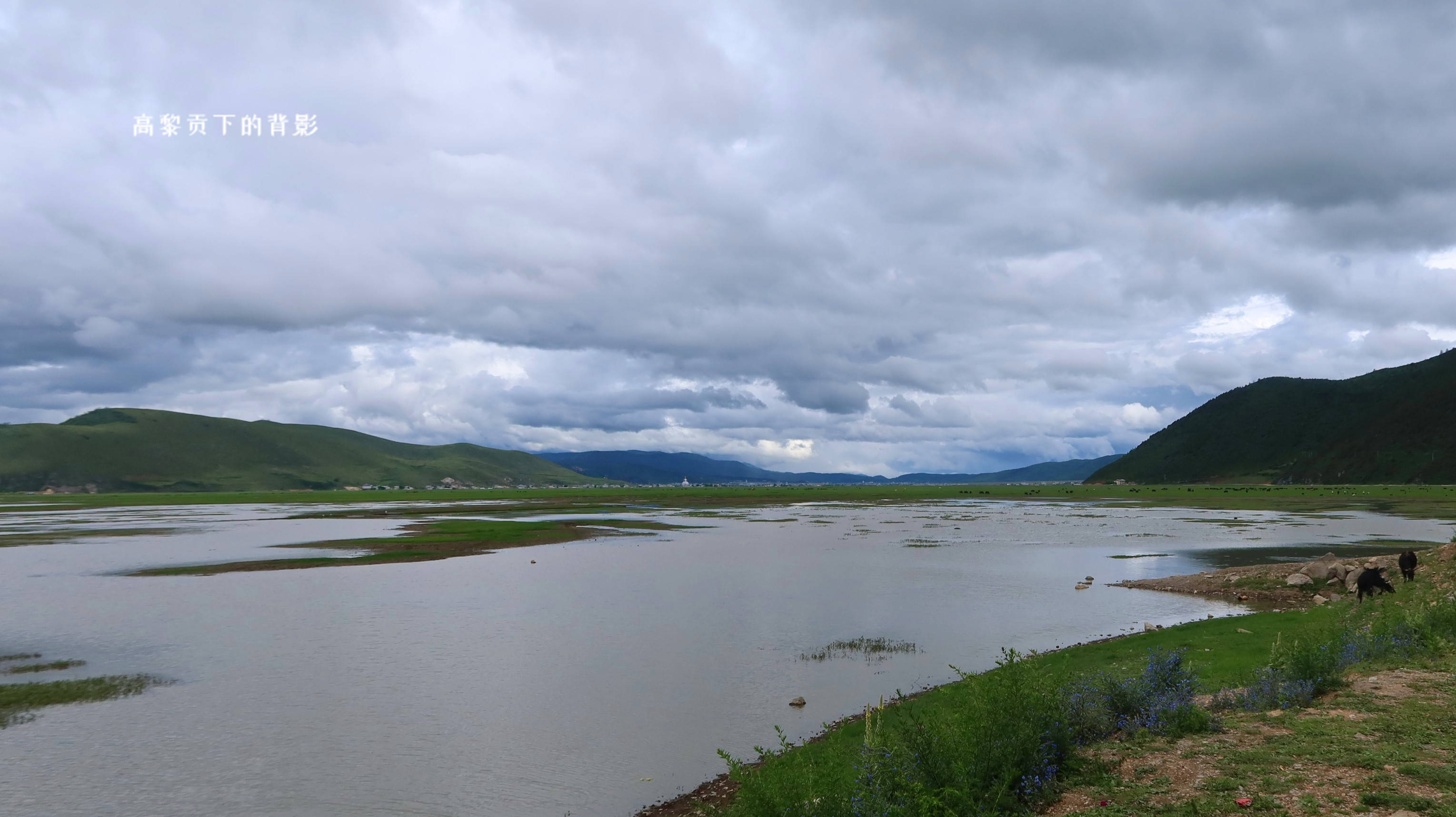 环湖纳帕海湖光山色香格里拉的这处美景很赞