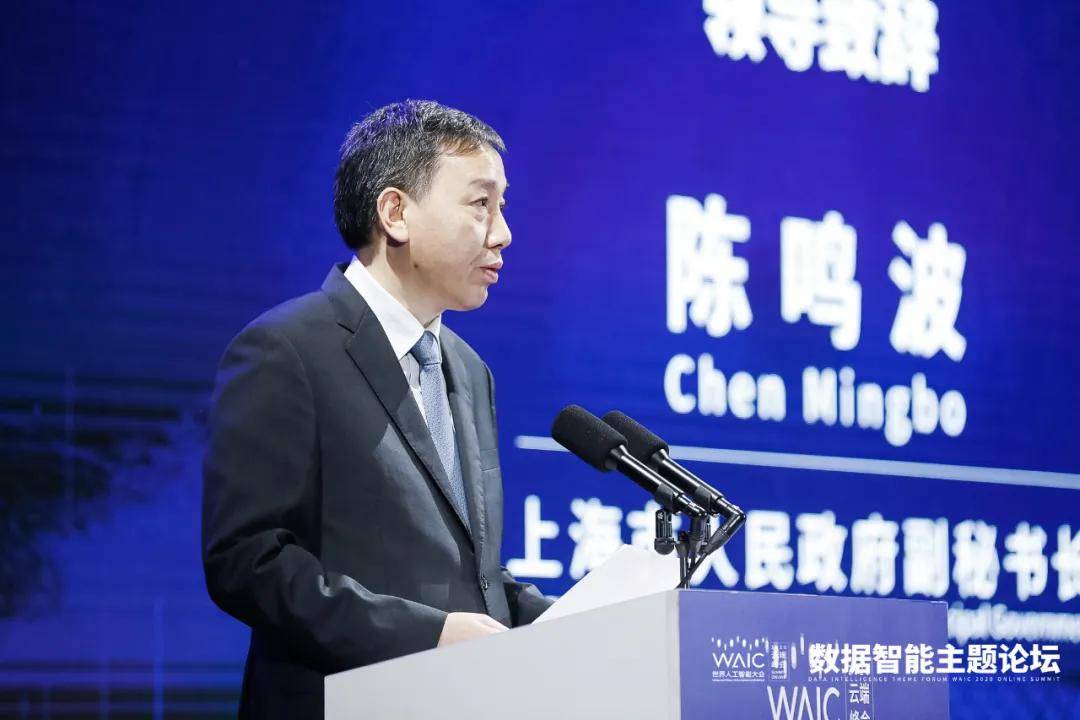 数据智能 无限未来——2020世界人工智能大会云端峰会数据智能主题论