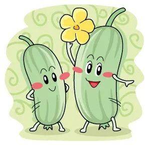 美食王国|勇敢的公主,丝瓜公主