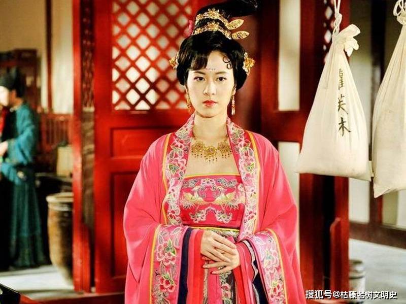 原创出来混总是要还的杨玉环姐姐虢国夫人骄奢无度为何被逼自杀