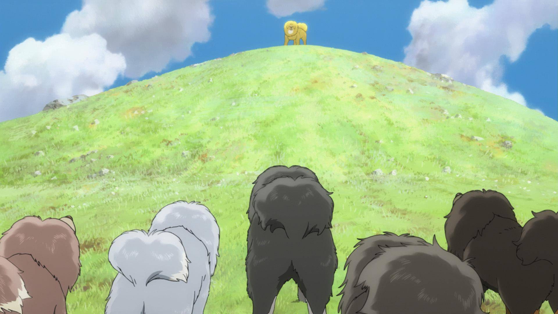 人类和动物之间,可以有信任吗?《藏獒多吉》告诉你答案_田劲