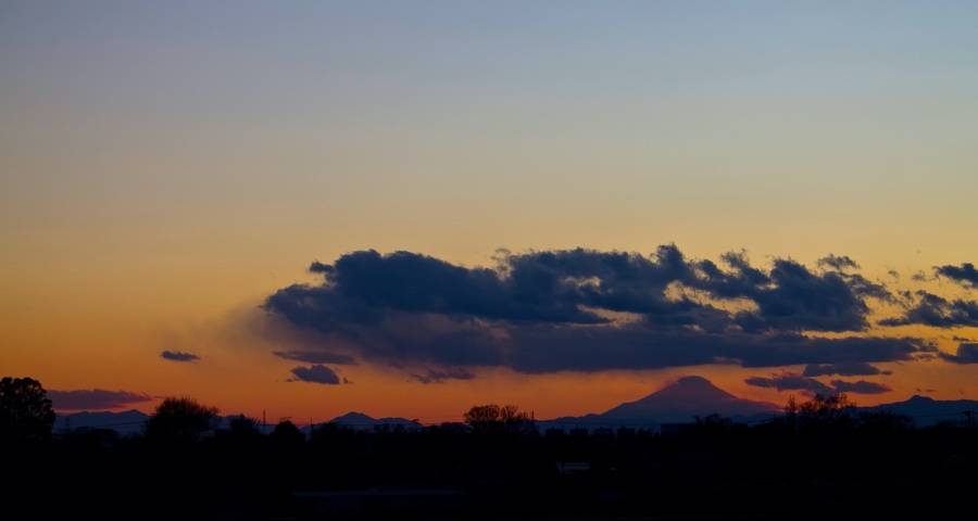 单品价格驱动旧时代结束！一个用户生态主导的家电新时代来了-家电圈官网