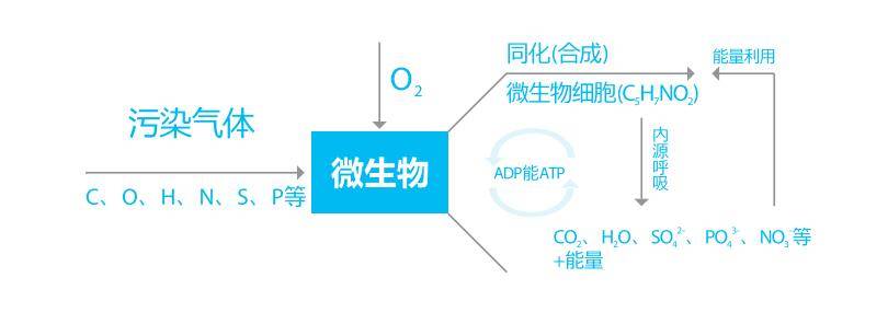 绿色转型：环保技术咨询助力企业可持续发展