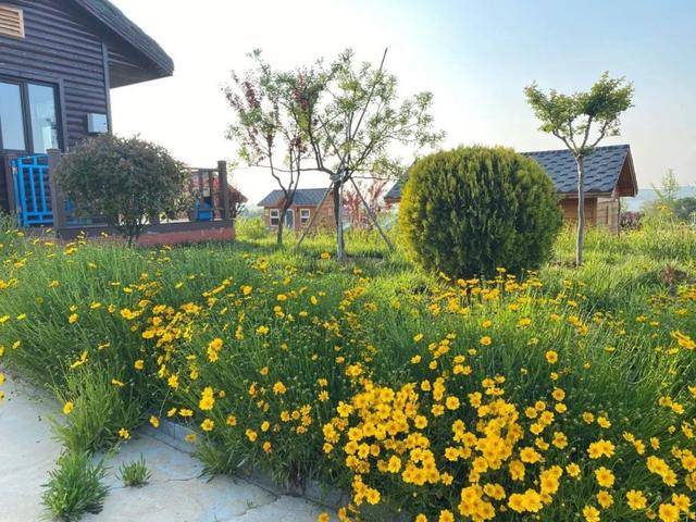 7月乳山这处乡村美出新高度,快来感受诗意田园生活吧!