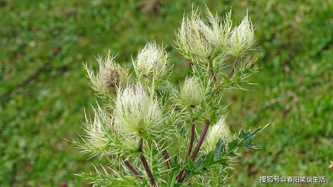 原创值得细细品读的经典说说精致有内涵深入人心