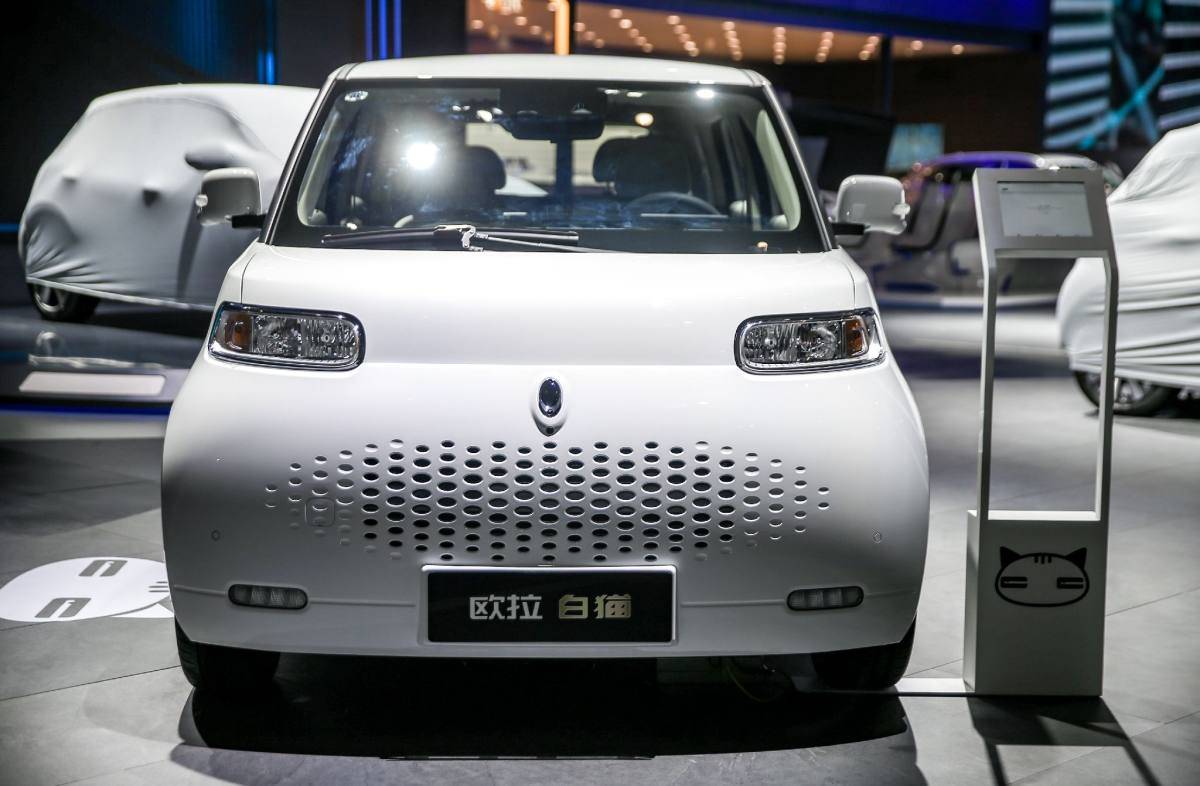 黑猫与白猫的完美组合