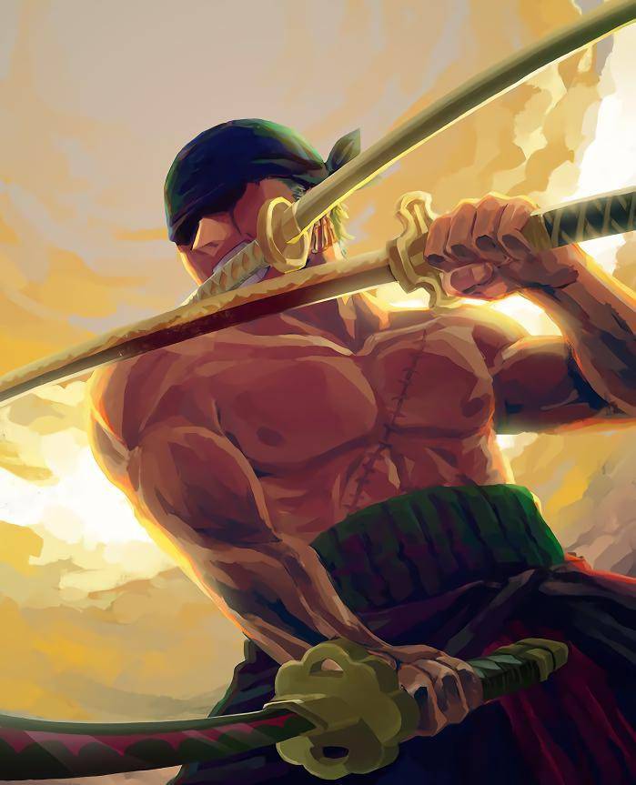 索隆是路飞的第一个伙伴.