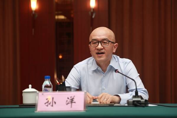 孙洋介绍神州数码控股有限公司情况