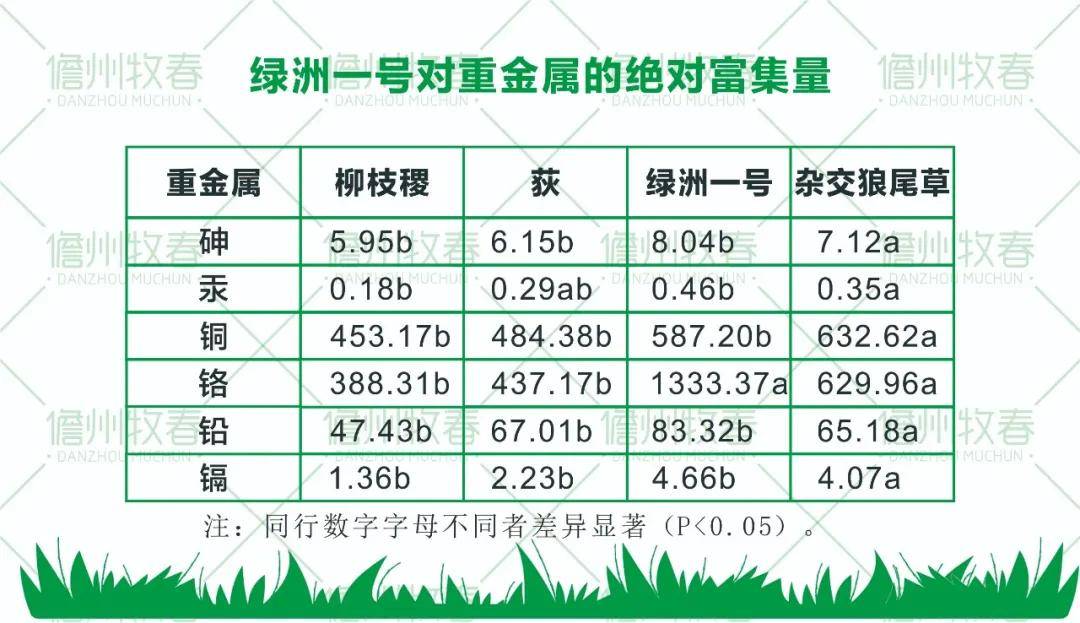 我国|高效修复土壤污染的超富集植物：绿洲一号